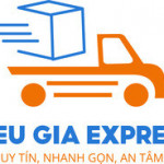 kieugiaexpress