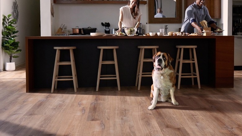 Best Pet-Friendly Flooring for a Stylish Home Upgrade