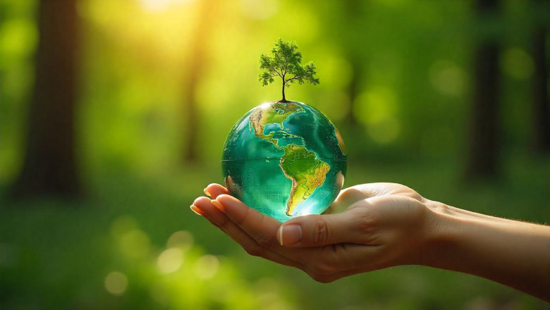 ISO 14001 Certification: The Green Standard That Means Business
