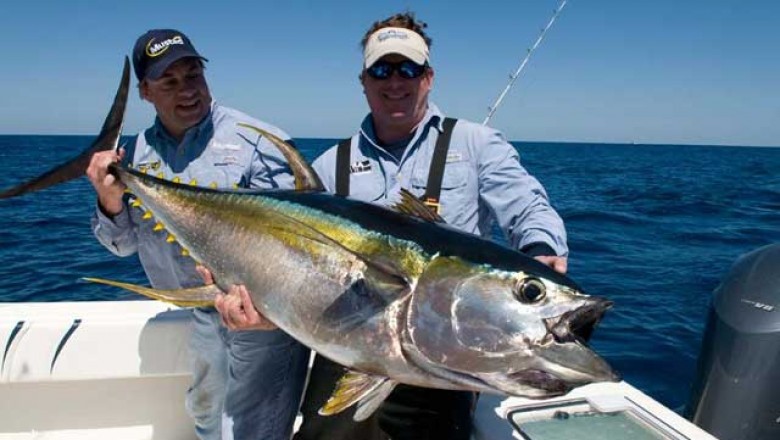 Fishing Trip in Qatar: An Unforgettable Adventure on the Arabian Gulf