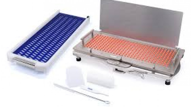 Global Capsule Fillers Market Report: Trends, Opportunities, and Forecast 2025-2031