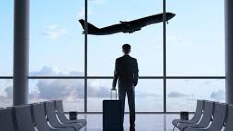 Global Business Travel Accident Insurance Market Report: Trends, Opportunities, and Forecast 2025–2031
