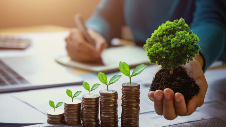 Why You Need an Accountant in Portugal for Smooth Business Growth