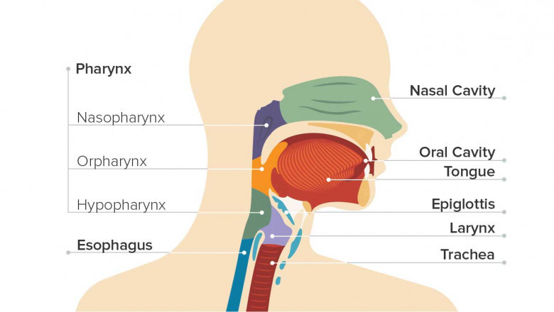 How to Plan Your Medical Trip for Throat Cancer Treatment in India