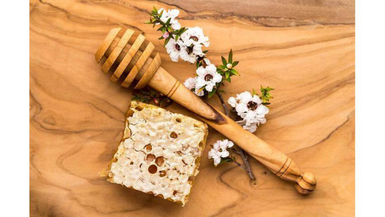 Healing Power, From the Hive: A Natural Ally in Modern Medicine