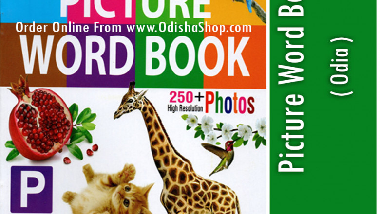 Picture Word Book For Children