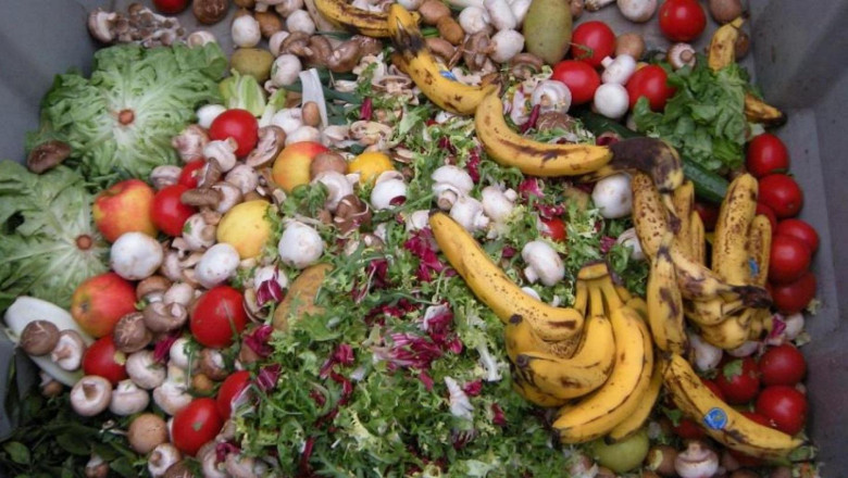 Food Waste Recycling Machine Market Opportunities Widen with Growing Consumer Preference for Sustainable and Green Technologies