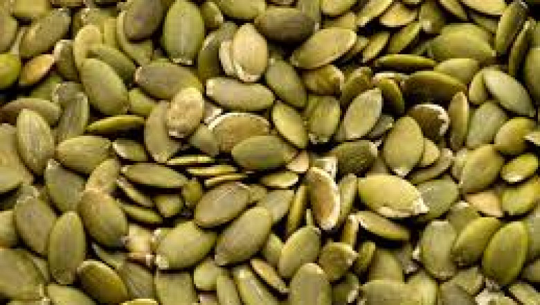 Pumpkin Seed Protein Market technological advancements enhancing protein extraction efficiency levels