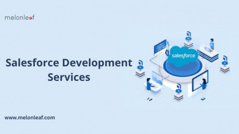 Salesforce Development Services