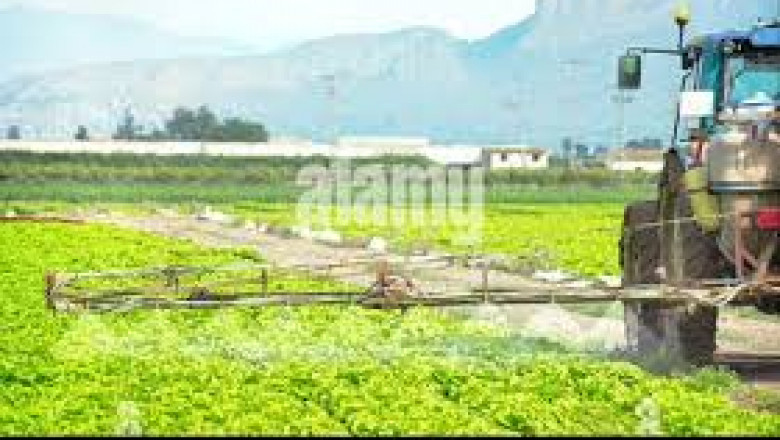 Agricultural Fumigant Market Rising With Demand For Longer Crop Shelf Life