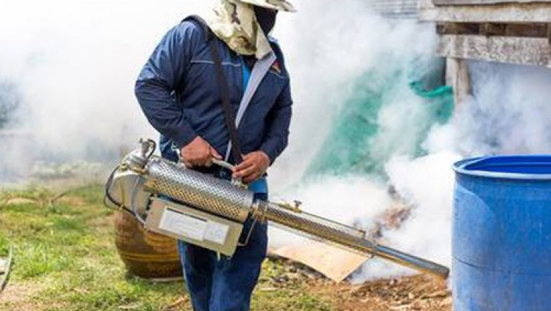 Book Fumigation Pest Control Services | Termite Fumigation Services