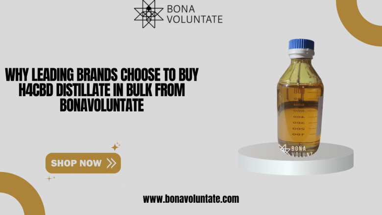 Buy H4CBD Distillate in Bulk | Bonavoluntate USA Wholesale