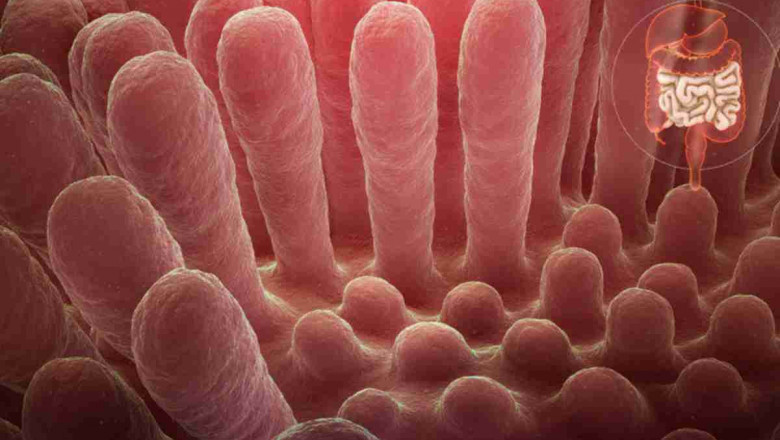 The Rise of Celiac Disease Drugs: What Rizevax Means for Patients