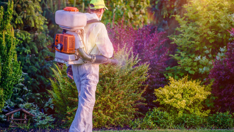 Trusted Pest Control Services for Canadian Homes