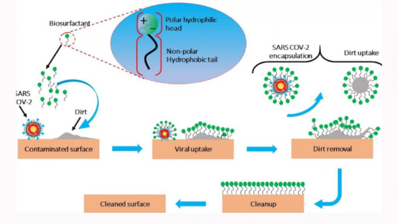 Biosurfactant Products: The Eco-Conscious Choice for Modern Industries