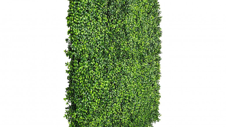 Bring Style And Elegance To Your Space With A Premium Boxwood Hedge Wall