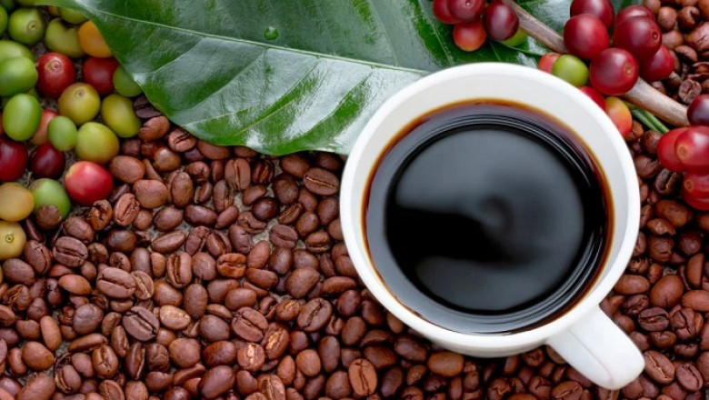Comprehensive Report on an Organic Coffee Manufacturing Plant Project: Cost and Revenue