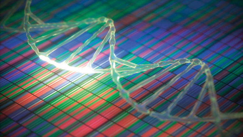 Exploring the Advancements and Applications of DNA Sequencing Equipment and Services