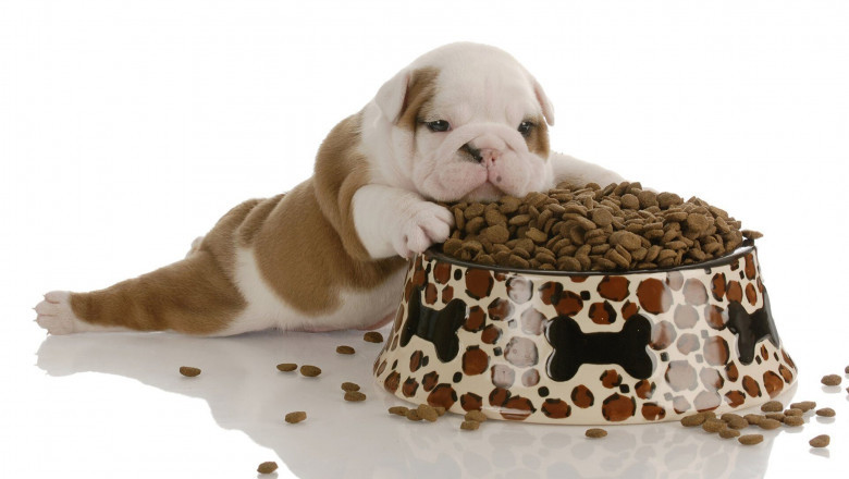 Pet Food Market Witnesses Rising Preference for Subscription Services and Direct-to-Consumer Models