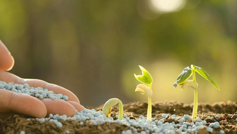 Silicon Fertilizers Market Supply Chain Analysis and Logistics Overview