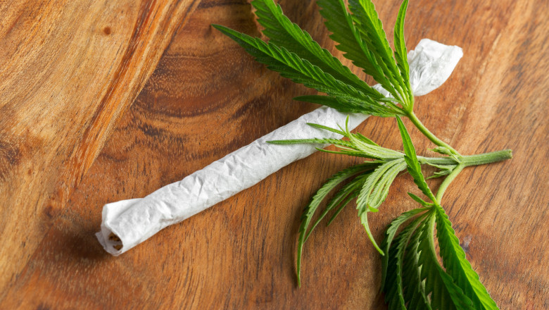 The Environmental Impact of Traditional vs. Hemp Rolling Papers