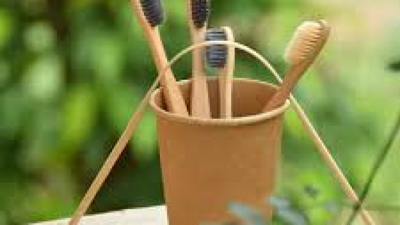 Bamboo Toothbrush Market Case Studies Highlighting Successful Brand Launches