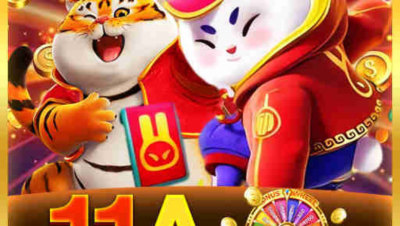 “Decoding 11A: More Than Just Letters and Numbers