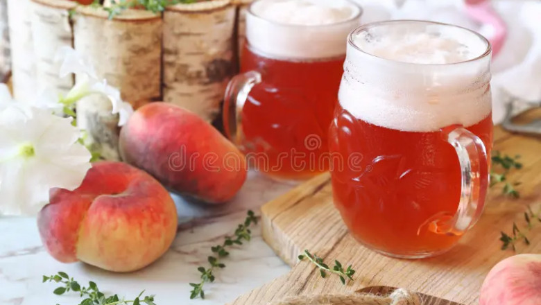 Flavored Beer Market Key Growth Accelerators Driving the Rising Global Demand in This Segment