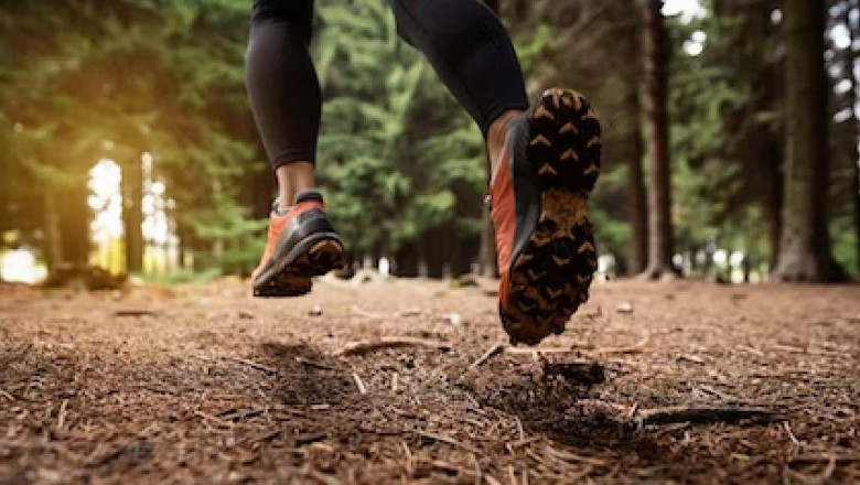 Trail Running Shoes Market Research Indicates Rising Demand Across Diverse Terrain Performance Needs