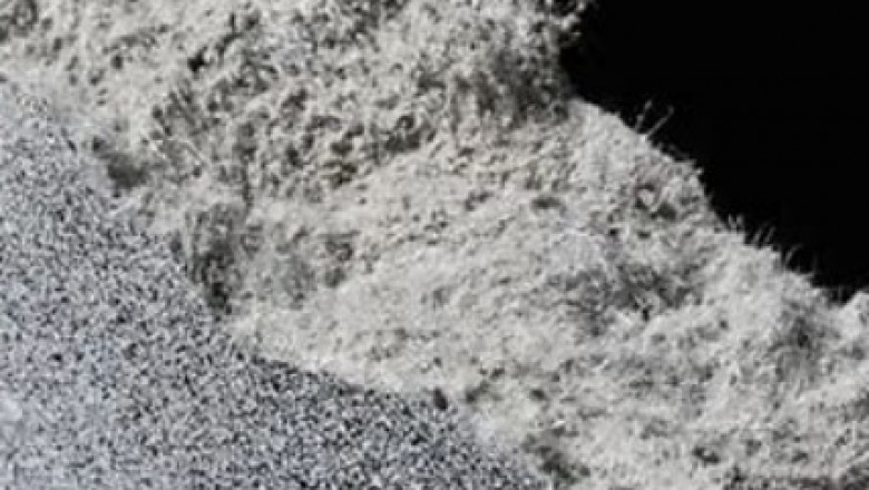 Lithium sulfide (Li ₂ S) sticks out as a crucial enabler for next-generation batteries