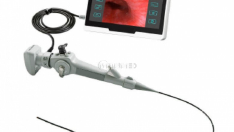 Veterinary Endoscope Market Moves Forward with Artificial Intelligence and Real-Time Imaging Capabilities