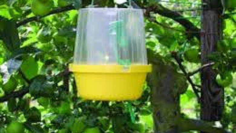 Agricultural Pheromones Market top applications in horticulture and cereal crops discussed