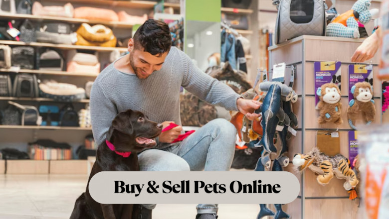 Where to Buy & Sell Pets Online: Trusted Platforms & Tips