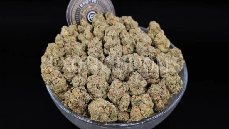Cookie Cravings: Exploring Girl Scout Cookies Flavors