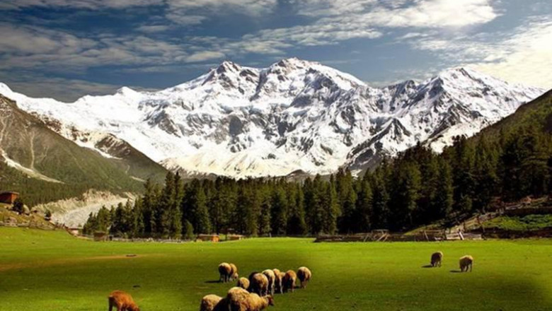 Fairy Meadows Tour Packages for Nature Lovers – Nanga Parbat Views Like Never Before
