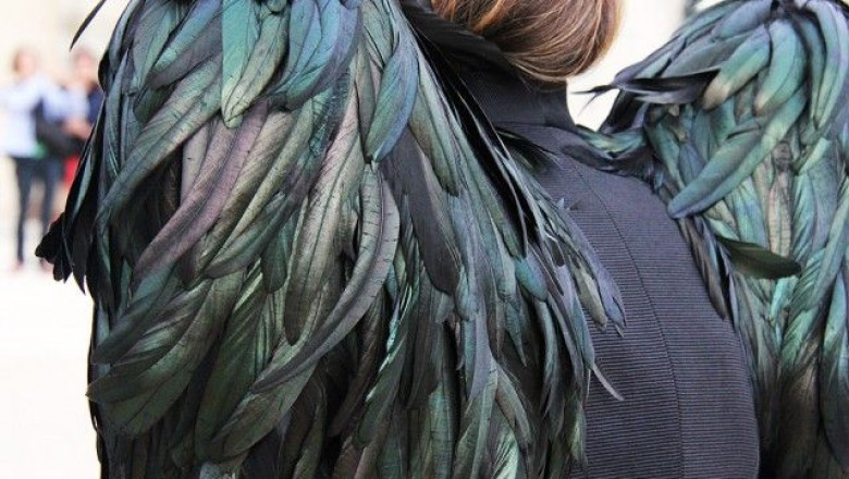 Feather Clothing Market Growth Outlook 2025–2032: Demand, Revenue, and Global Expansion