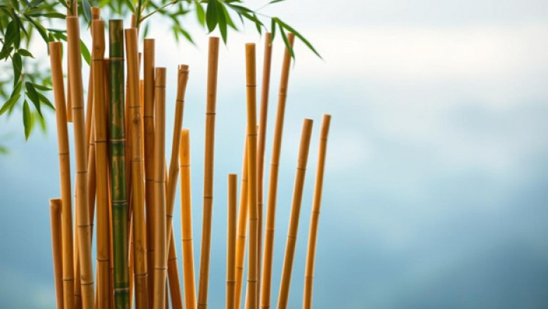 Rolled Bamboo Fencing