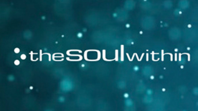 theSOULwithin llc