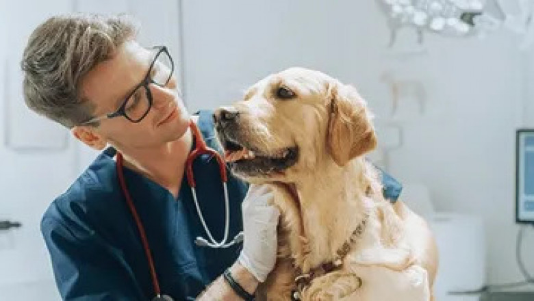 Veterinary Oncology Market Amid CAR-T Approval Surge