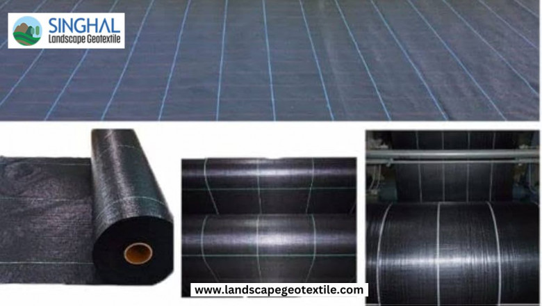 Weed Barrier Fabric: The Key to a Cleaner, Low-Maintenance Garden
