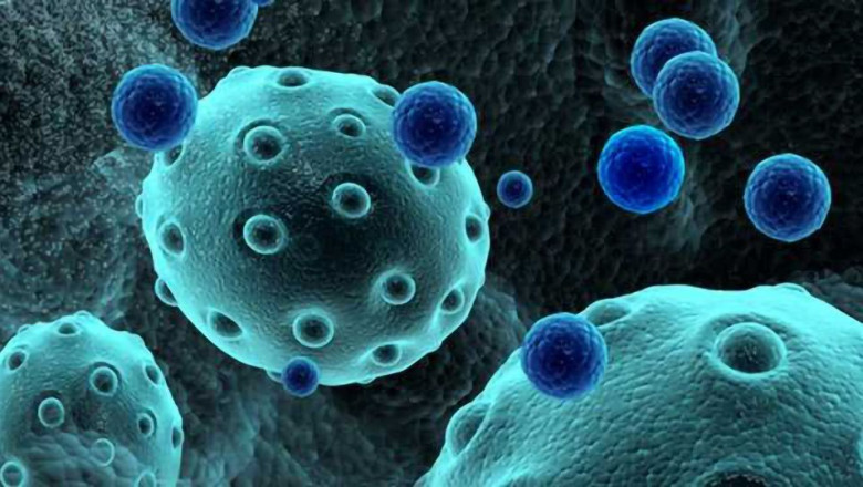 Accelerating Growth in the Exosome Therapeutics Market