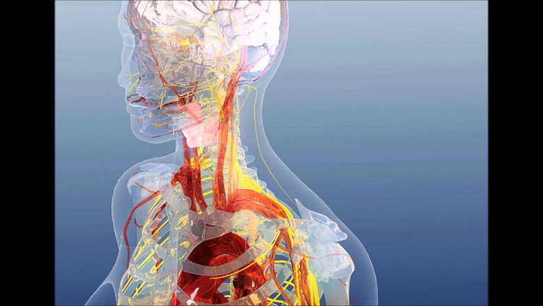 Bioelectric Medicine Market Is Estimated to Witness High Growth Owing to Integration of Closed-Loop Neuromodulation Systems