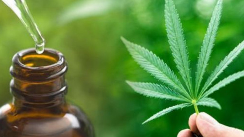 CBD Oil Market Innovation Accelerates as Consumer Demand Surges Across Health and Beauty Segments