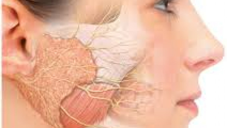 Global Sialorrhea Treatment Market Size and Growth