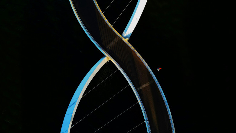 How Can a DNA Test Help Me with my Search for my Ancestors?