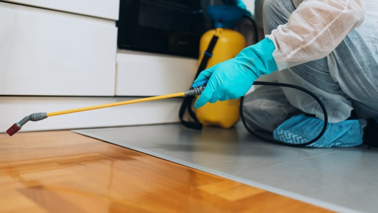 Pest Control Market Outlook Points Toward Sustainable Innovations, Urban Demand, and Smart Service Expansion