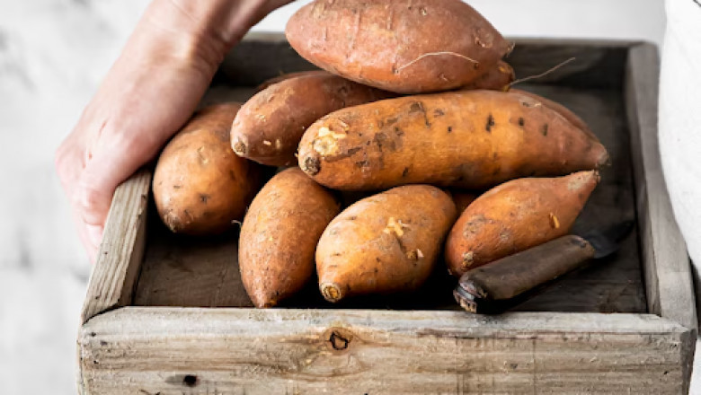 The Sweet Potato’s Journey to Texas – History &amp; Impact
