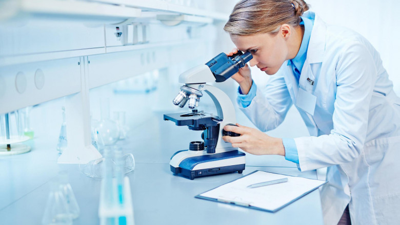 Clinical Laboratory Services Market to Witness Growth Owing to AI-Driven Diagnostics