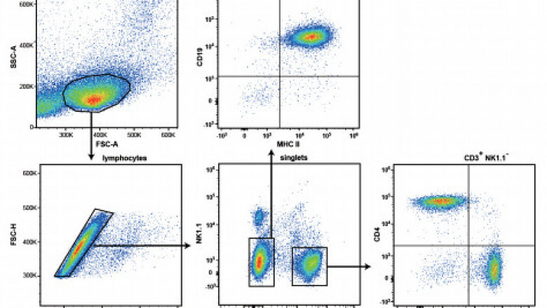 Global Cell Cytometry Market Growth Outlook 2025-2032