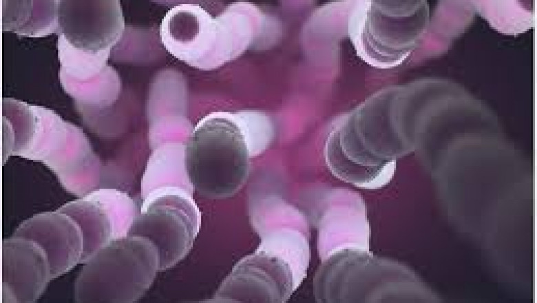 Global Pneumonia, Pneumococcal Therapeutic Market Trends Overview